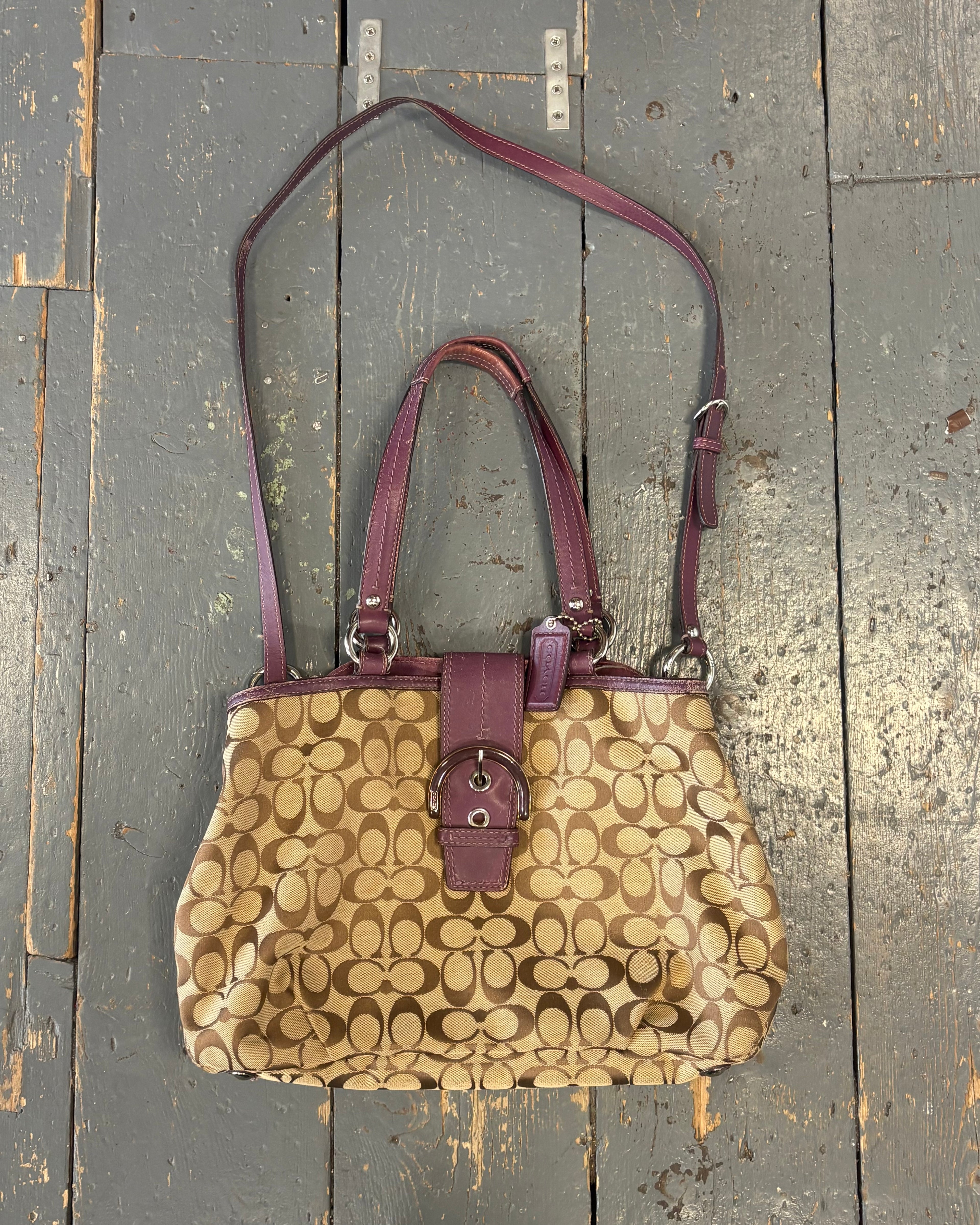 Brown/Purple Coach Bag