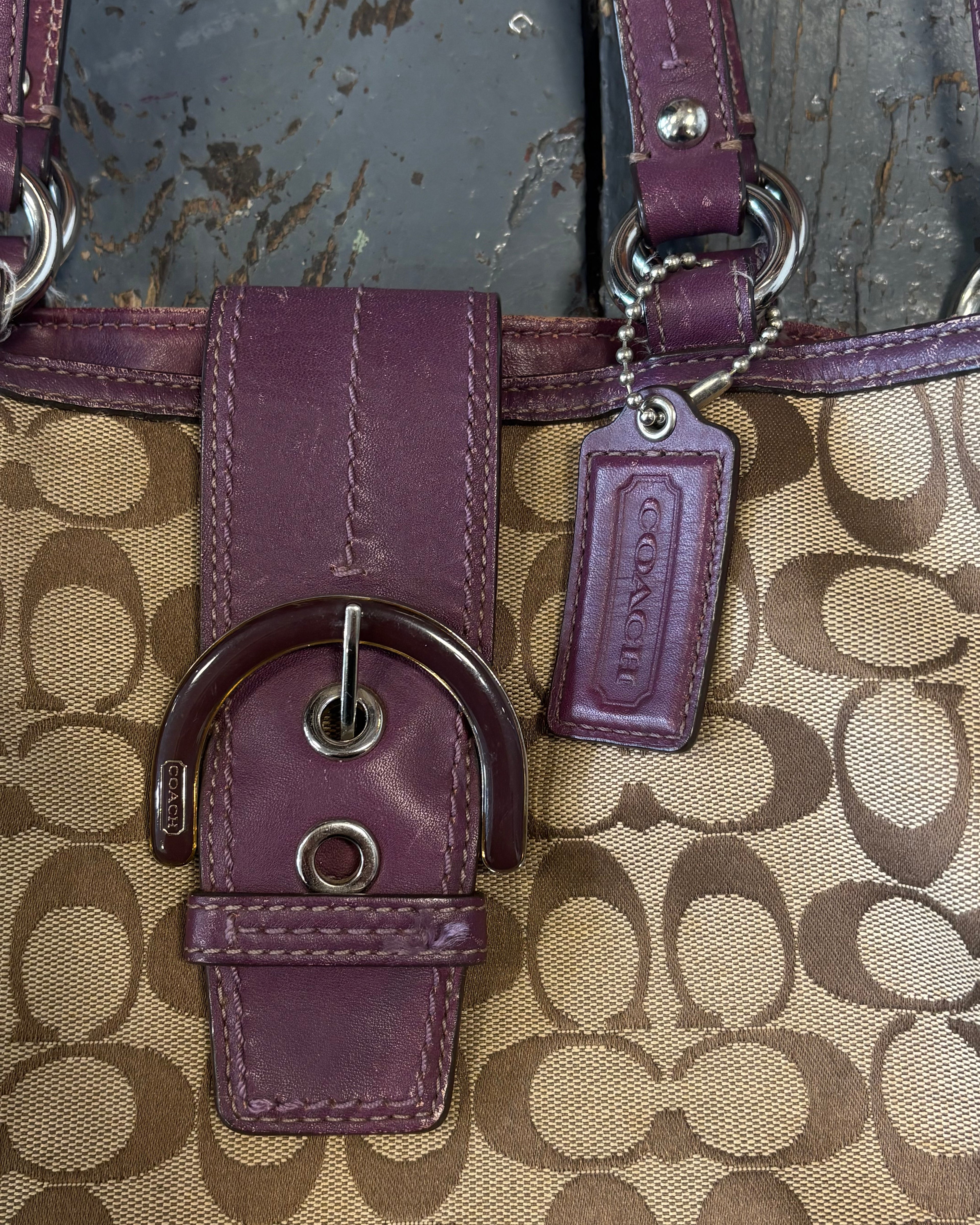Brown/Purple Coach Bag